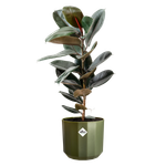 facet round 14cm verde bosque